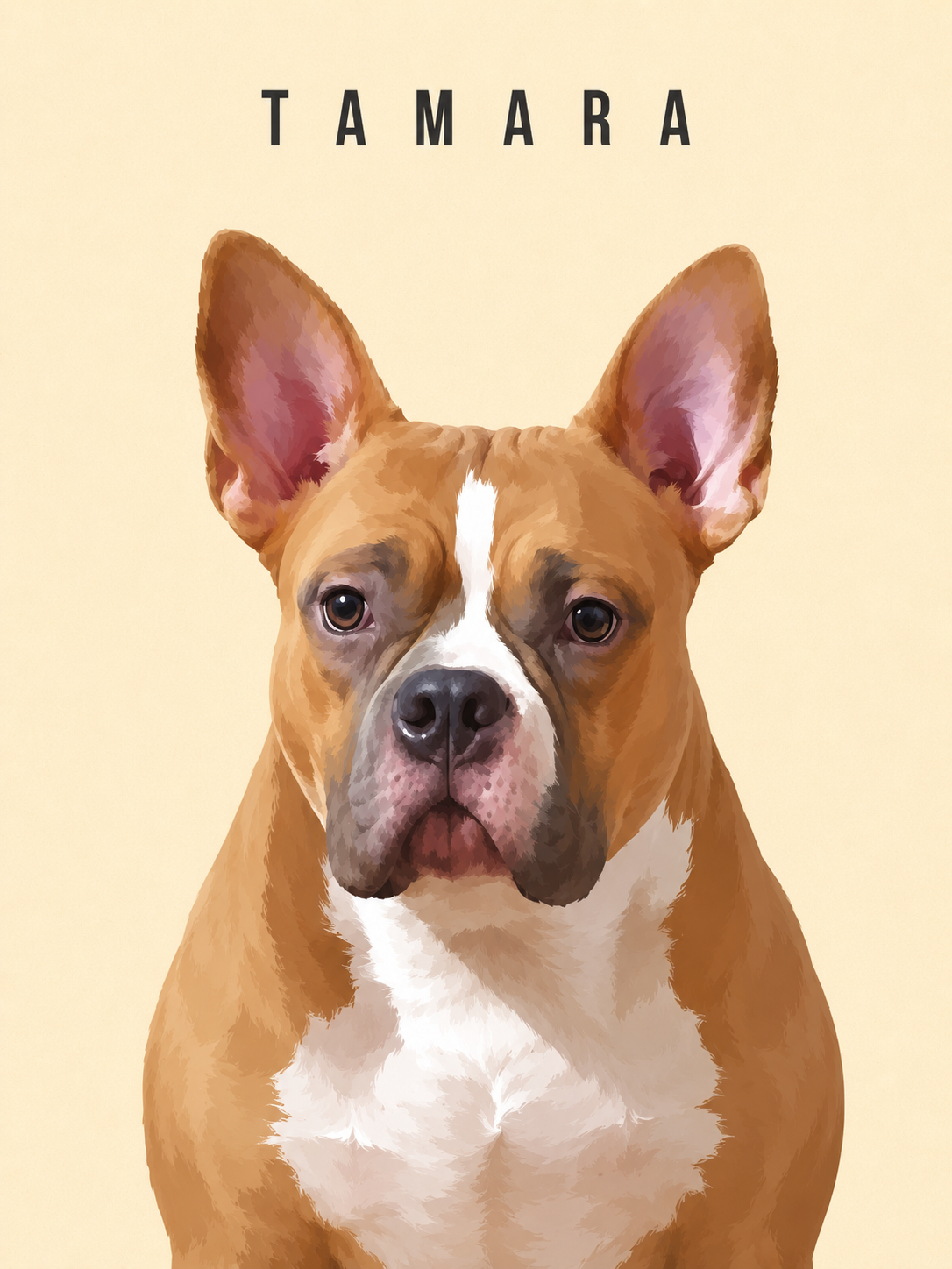 Custom Modern Pet Portrait
